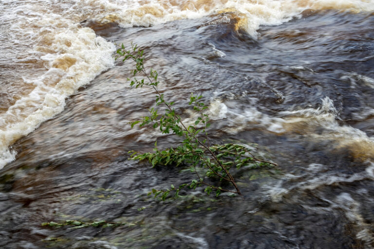 Buncombe county officials provide key updates on hurricane helene recovery efforts - photo licensed by shore news network.