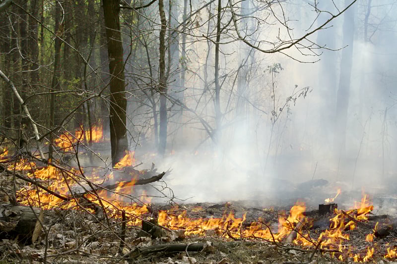 What's on Fire in Ocean County? Joint Base Fire Causing Smoke Conditions in Nearby Towns