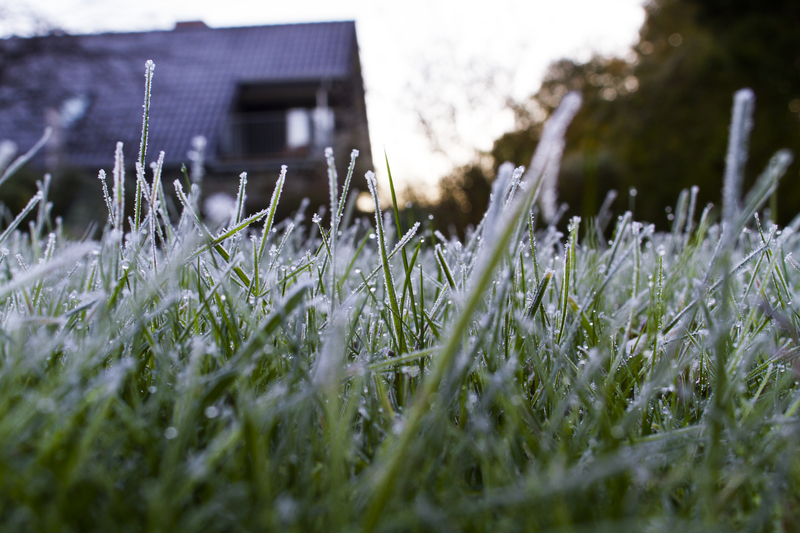 New Jersey's First Frost Has Arrived, But Here's This Columbus Day Weekend's Weather Outlook