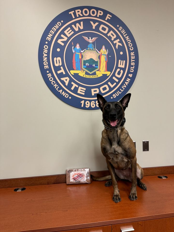 K-9 Moran Aids Cocaine Seizure on Interstate 87