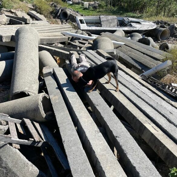 K9 units engage in advanced training with dc fire and ems - photo licensed by shore news network.