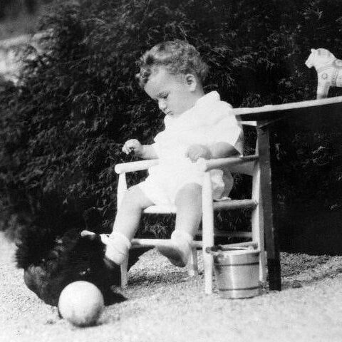 Murder cases that shook new jersey to its core, terrifying residents - photo licensed by shore news network.