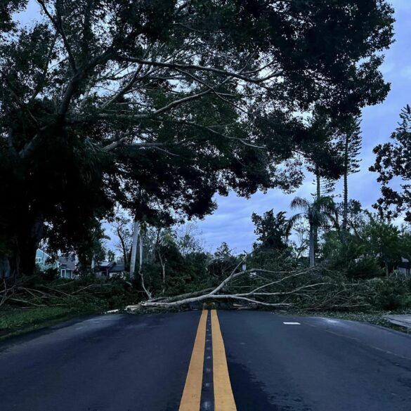 "it's a mess" manatee sheriff says stay off roads until cleanup complete - photo licensed by shore news network.