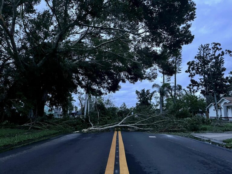 "it's a mess" manatee sheriff says stay off roads until cleanup complete - photo licensed by shore news network.