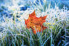 Frost alert: cold snap settles over new jersey as fall temperatures take hold