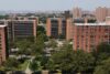 Two off-duty nycha employees arrested on gang related assault charges