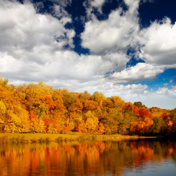 New jersey fall foliage is peaking and here are the best spots to see it - photo licensed by shore news network.