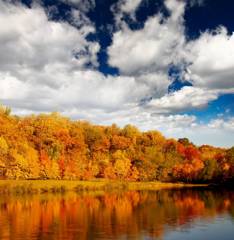 New Jersey Fall Foliage is Peaking and Here are the Best Spots to See it