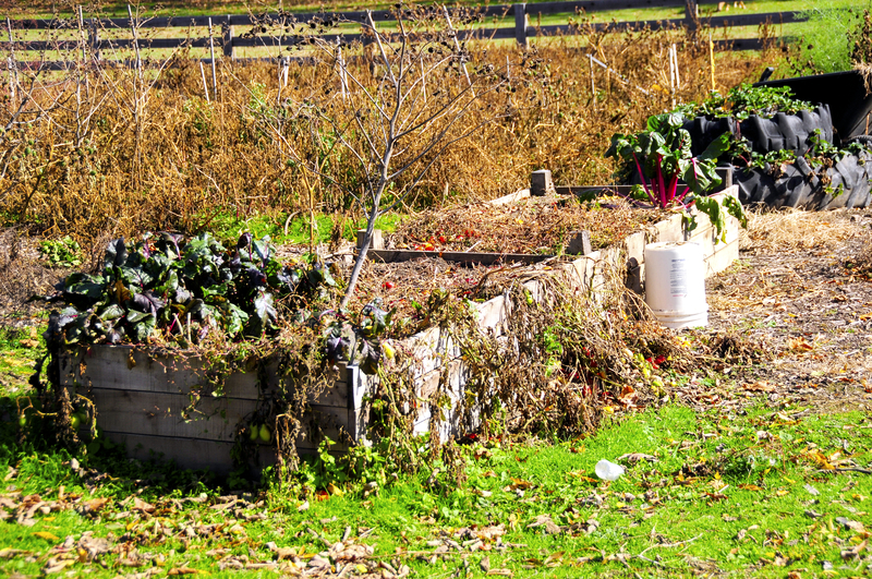Ten Things You Should Be Doing in Your New Jersey Garden in October
