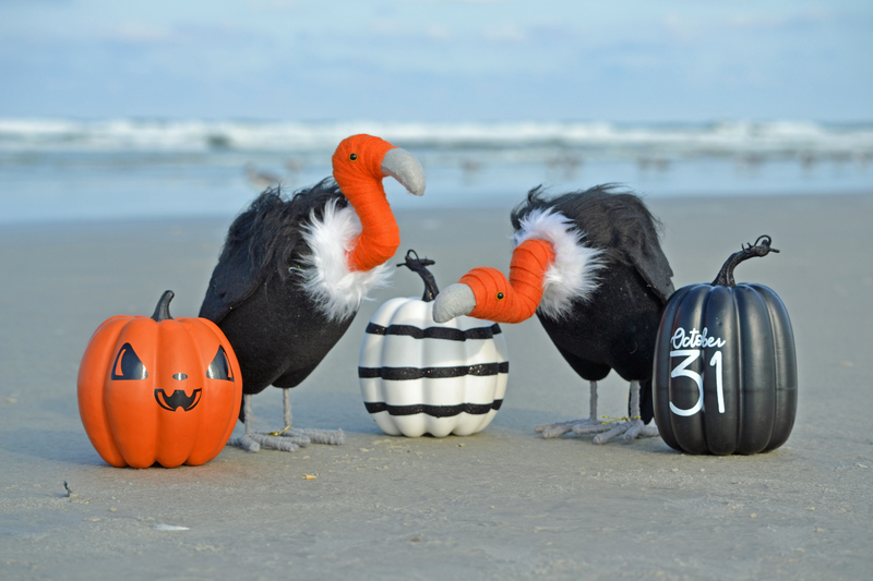 New Jersey to see warm Halloween with highs in the 70s