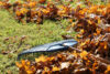 Toms river introduces compostable bags for fall leaf collection