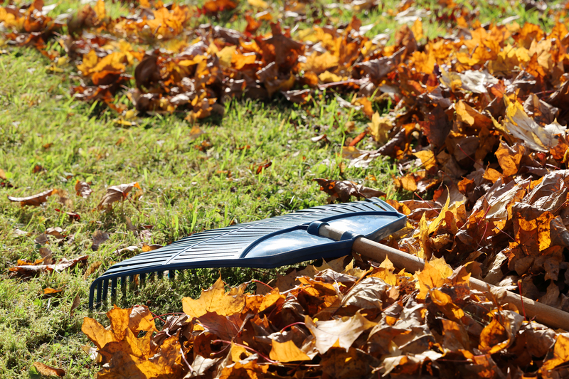 Toms River introduces compostable bags for fall leaf collection