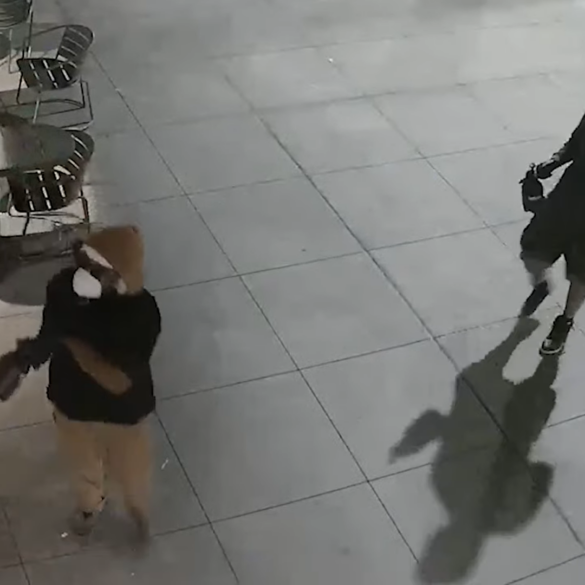 Vandals sought after spray-painting d. C. Business, caught on camera - photo licensed by shore news network.