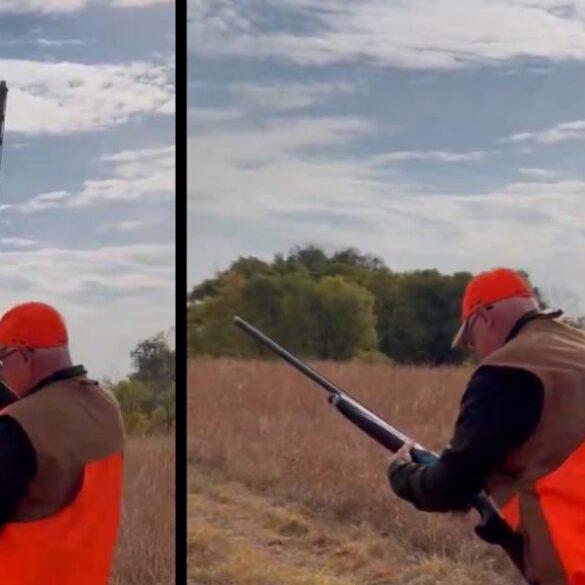 Regular guy tim walz struggles with shotgun during hunting photo op gone wrong - photo licensed by shore news network.