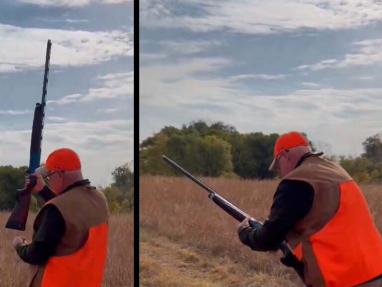 Regular guy tim walz struggles with shotgun during hunting photo op gone wrong - photo licensed by shore news network.