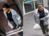 Nyc cops capture woman wanted for attempted child abudction on 180th street