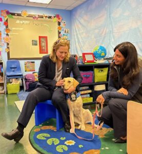 How Kimi, the Support Dog Will Help Crime Victims in Queens