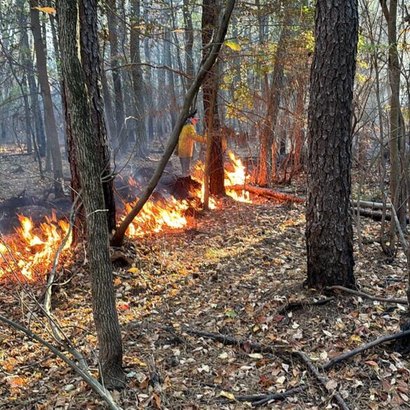 What's that smell? Two fires near evesham causing lingering smoke conditions - photo licensed by shore news network.