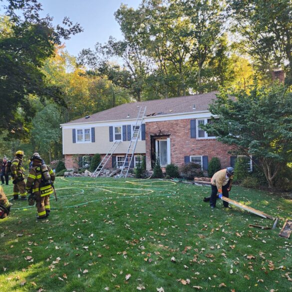 Family dog rescued from house fire in north stamford - photo licensed by shore news network.