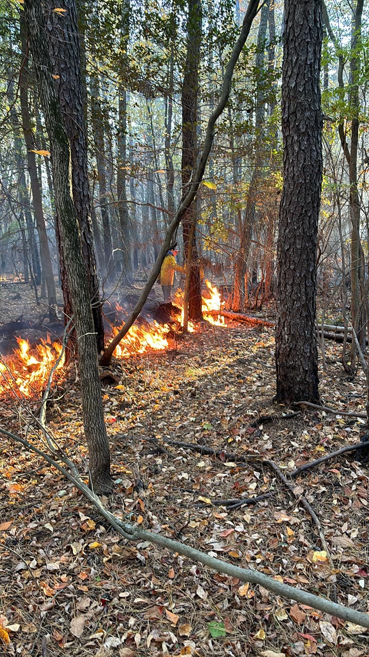 What's That Smell? Two Fires Near Evesham Causing Lingering Smoke Conditions