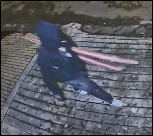 Richmond Police Seek Assistance in Copper Theft Investigation