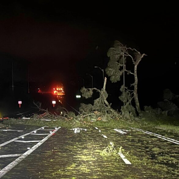 Pasco county cleaning out after milton as officials clear roadways, fix traffic signals - photo licensed by shore news network.