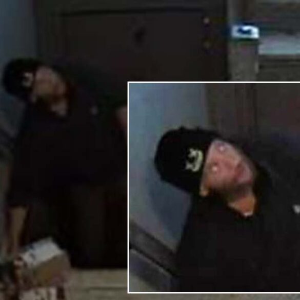 Newark police issue bounty for booty of porch pirate - photo licensed by shore news network.