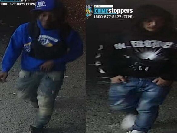 Suspects Sought in Brutal Murder of 15-Year-Old New York Teen, Shot at ...