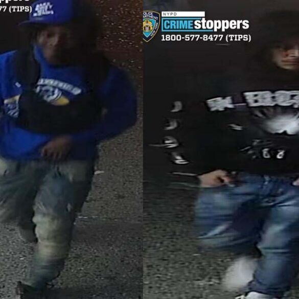 Suspects sought in brutal murder of 15-year-old new york teen, shot at 18 times - photo licensed by shore news network.