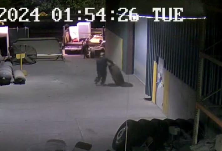 Norfolk Police Crew Wanted for Burglarizing Local Businesses
