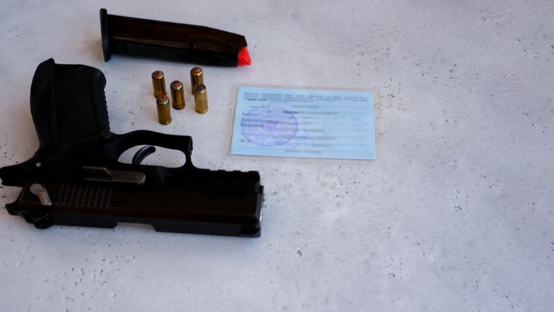 New Jersey Law Seeks to Require Police to Alert Feds When Illegal Immigrant Applies for Gun Permit