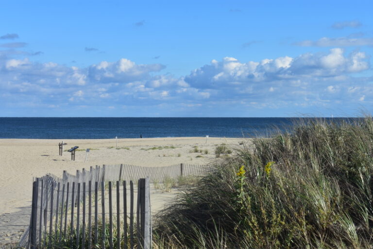 Cooler temps and clear skies highlight new jersey's weekend weather report - photo licensed by shore news network.