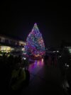 Downtown toms river to host annual tree lighting with live entertainment
