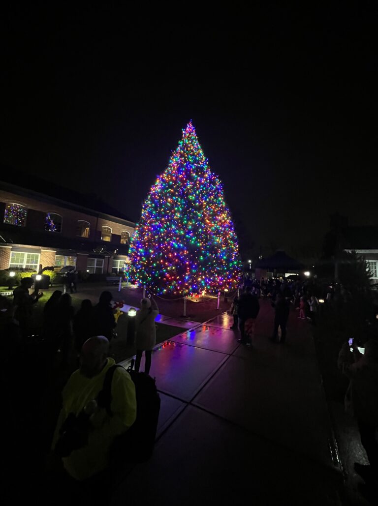 Downtown toms river to host annual tree lighting with live entertainment - photo licensed by shore news network.