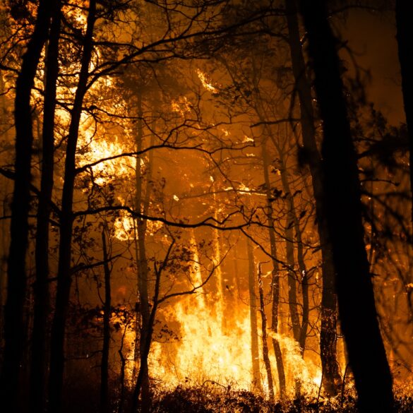 Fierce house fire in dc leaves six displaced as crews fight heavy flames and smoke - photo licensed by shore news network.