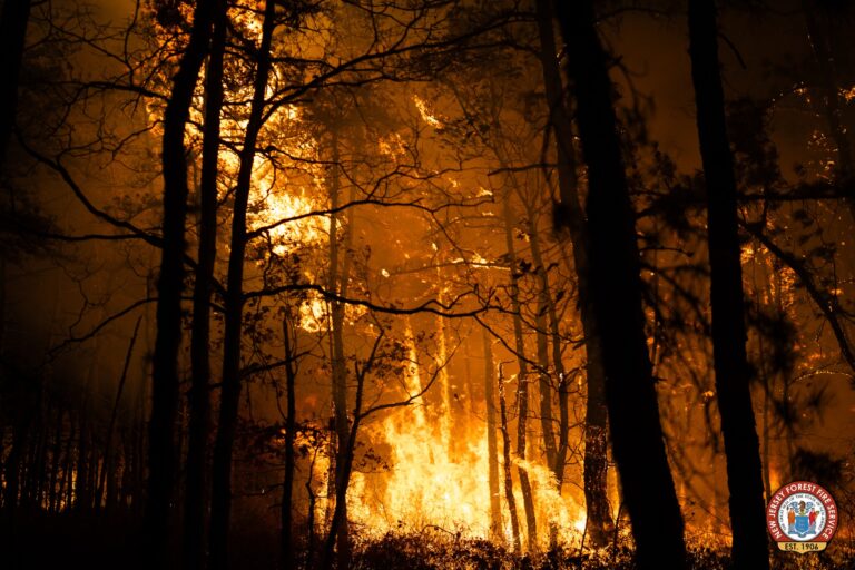 Large forest fire breaks in pompton lakes - photo licensed by shore news network.