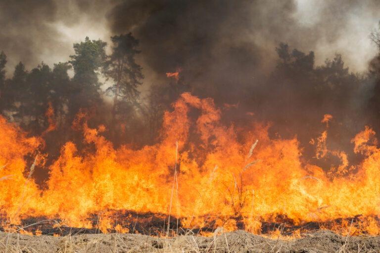 Wildfire in hopewell township burns 288 acres, 80% contained - photo licensed by shore news network.