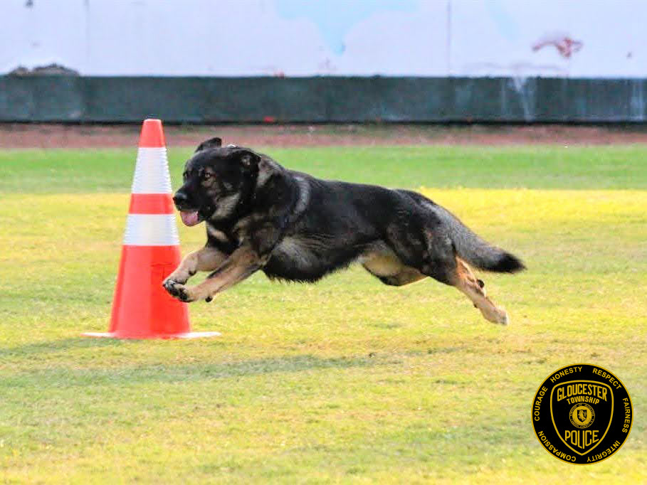 Gloucester Township Police honor K-9 Schultz on anniversary of tragic death