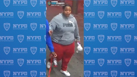 NYPD seeks suspects in attempted robbery at Manhattan business NYPD seeks suspects in attempted robbery at Manhattan business