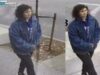 Man injured in knife attack on madison avenue, suspect at large