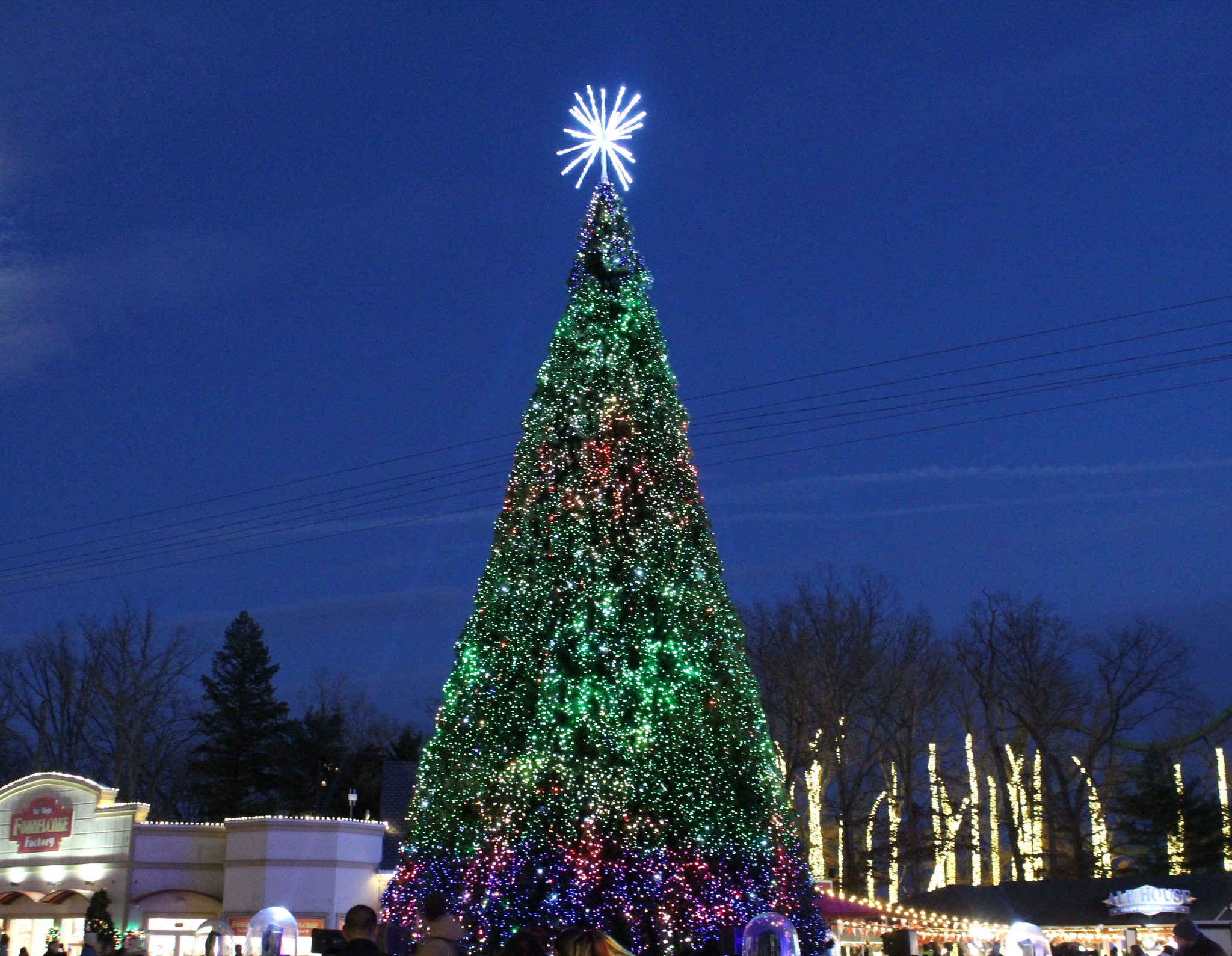 Did You Know? Great Adventure's Holiday in the Park Kicks Off Today