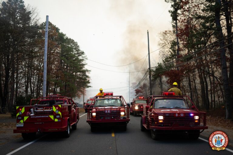 Photos: jackson's shotgun wildfire 90% contained - photo licensed by shore news network.