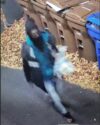 Police seek public's help in identifying tire slashing suspect