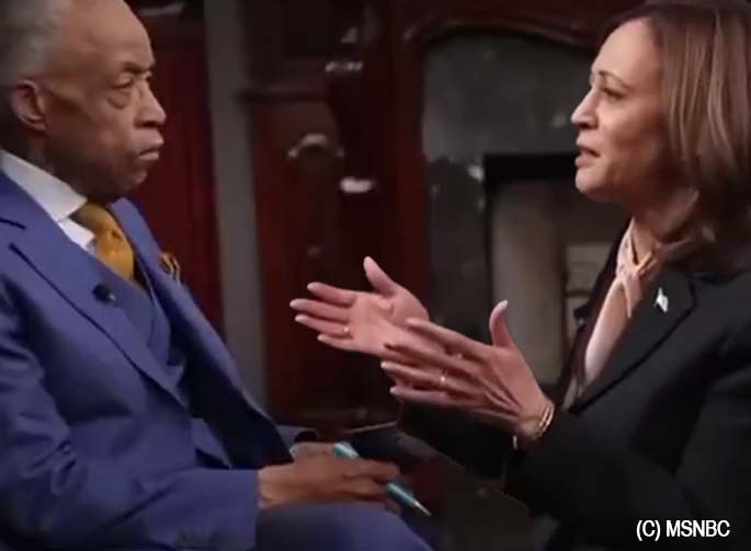 Was Kamala Harris $250,000 Payment to Al Sharpton Part of Larger Political Money Laundering Scheme?