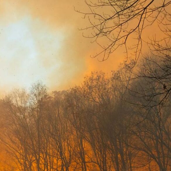 Wildfire blankets jackson in low-lying smoke and haze on friday morning - photo licensed by shore news network.