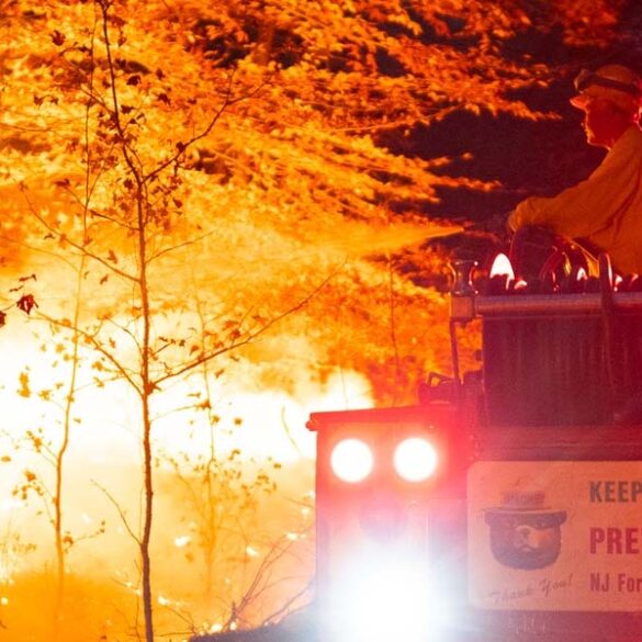 Wildfire burns 19 acres along palisades interstate parkway in englewood cliffs - photo licensed by shore news network.
