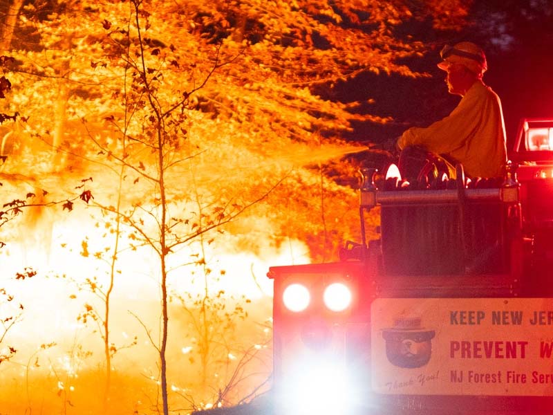 Wildfire Burns 19 Acres Along Palisades Interstate Parkway in Englewood Cliffs