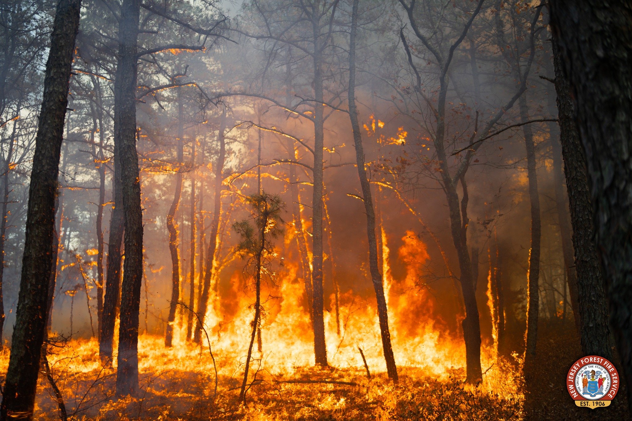Massive 2,000 Acre Wildfire Burns Out Of Control in North Jersey
