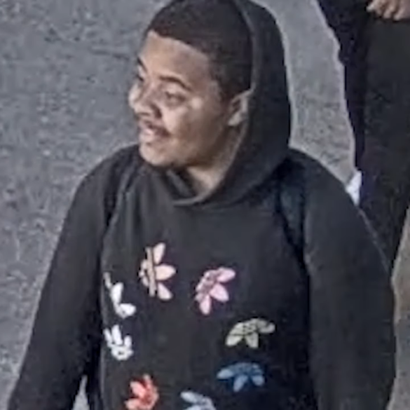 D. C. Police hunt for suspects in brazen robbery on 19th street - photo licensed by shore news network.