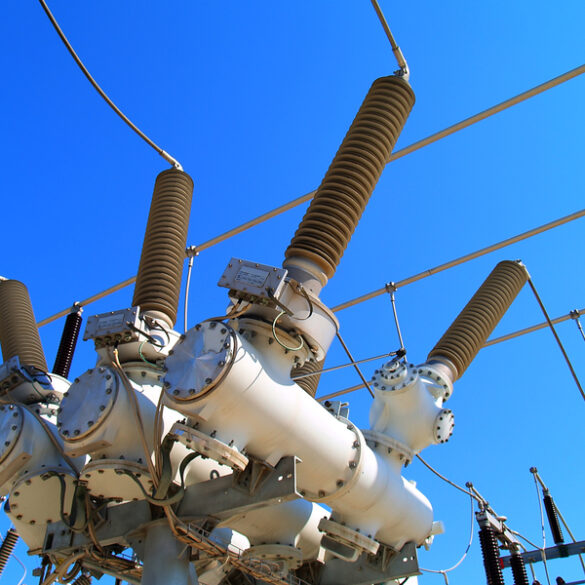 The world is no longer safe, woman says as she attacked electric substation, hung from wires - photo licensed by shore news network.